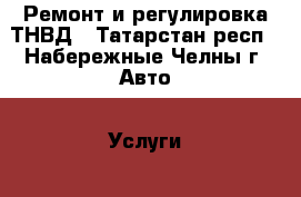 Ремонт и регулировка ТНВД - Татарстан респ., Набережные Челны г. Авто » Услуги   . Татарстан респ.